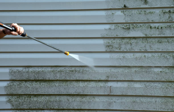 Best Pressure Washing Driveway  in Dike, IA