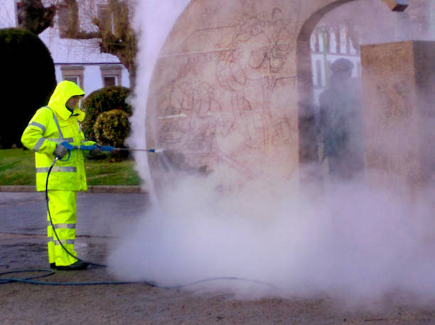 Best House Pressure Washing  in Dike, IA