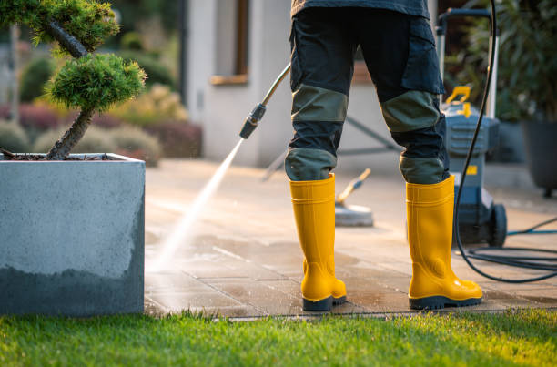 Best Exterior Home Cleaning  in Dike, IA